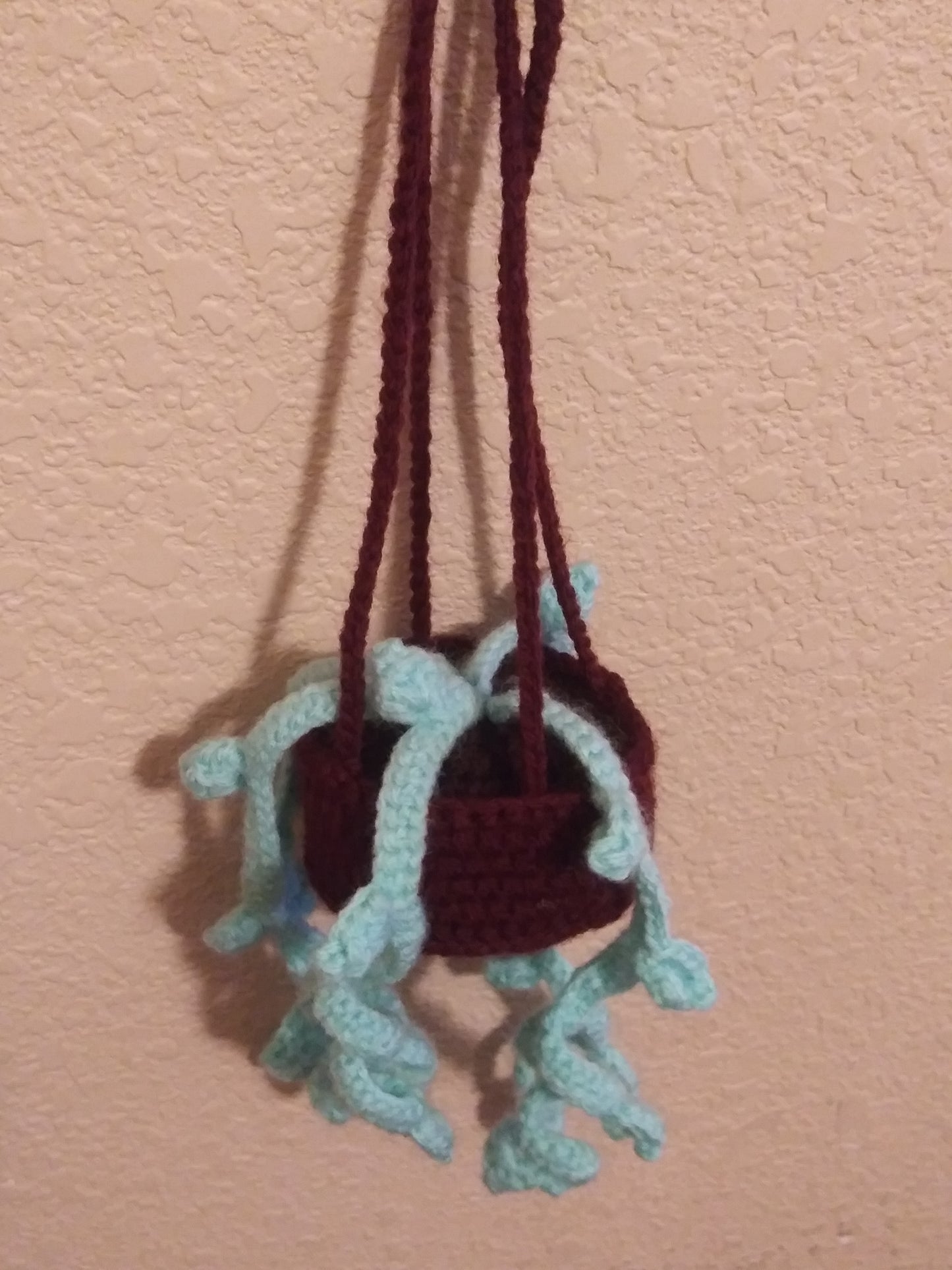 Crochet hanging plant for car