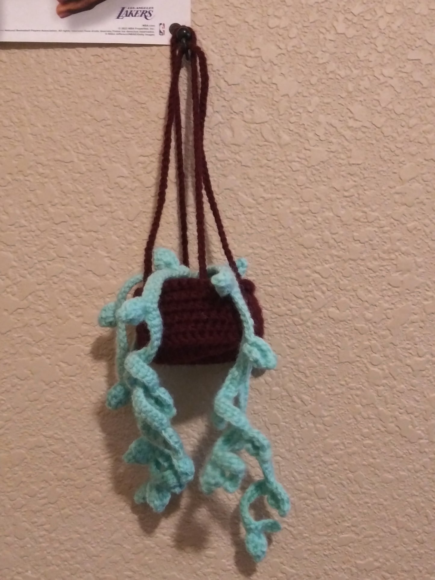 Crochet hanging plant for car
