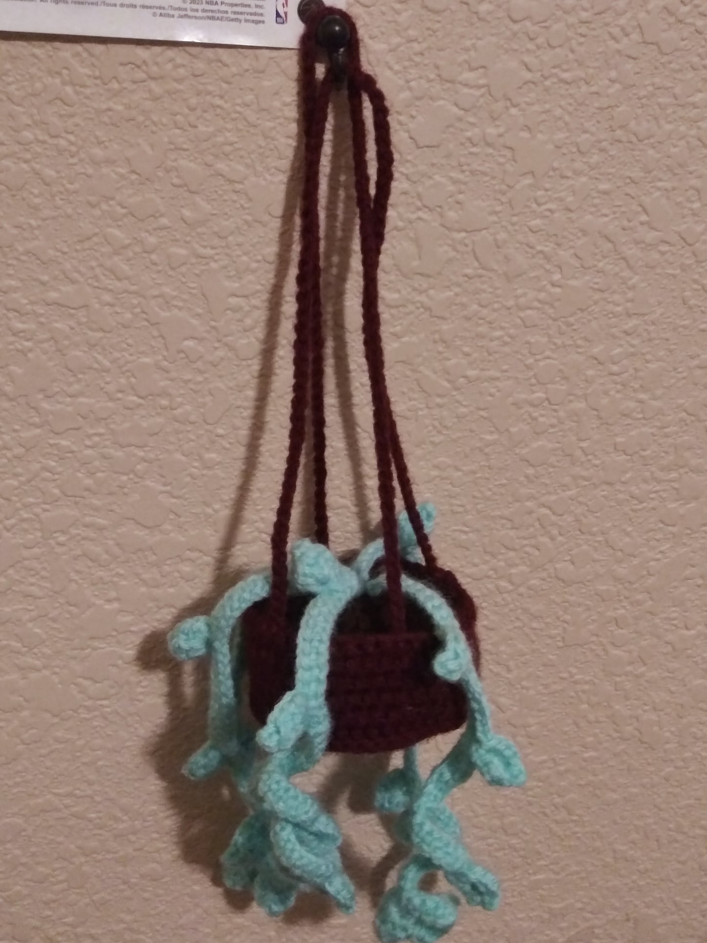 Crochet hanging plant for car