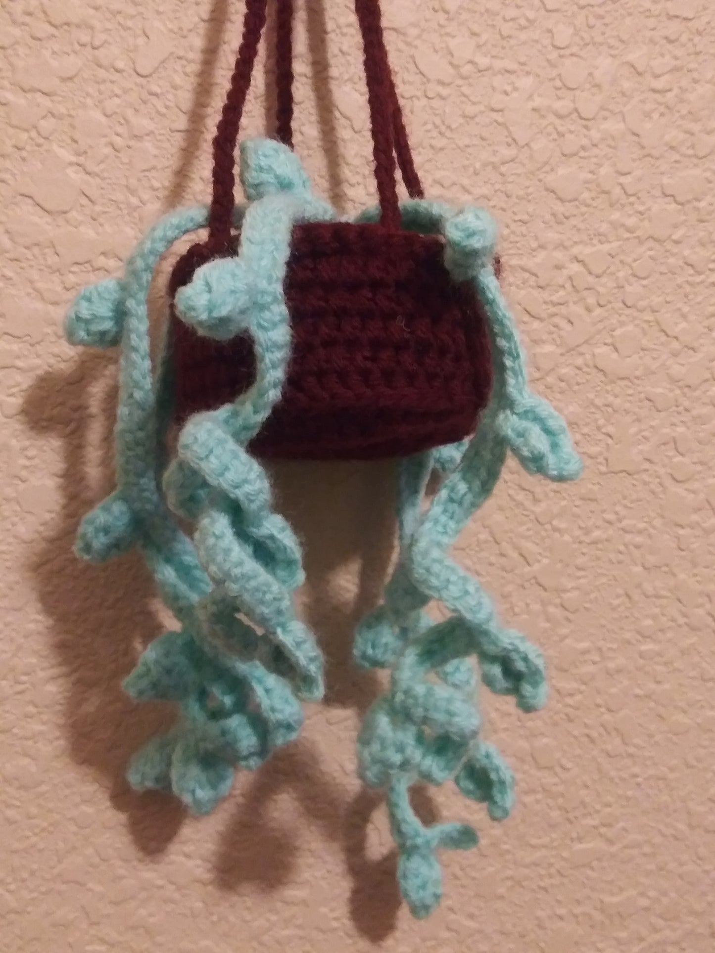 Crochet hanging plant for car